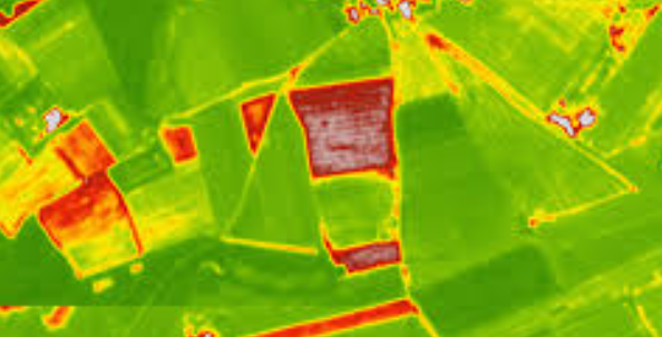 Normalized Difference Vegetation Index