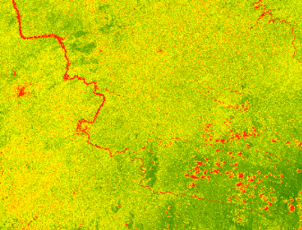 Normalized Difference Vegetation Index